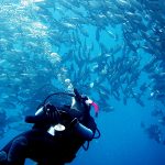 Philippine Fun Divers - Divers Alona Beach Panglao Bohol 12