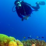 Philippine Fun Divers - Divers Alona Beach Panglao Bohol Ambassador Rod Smith